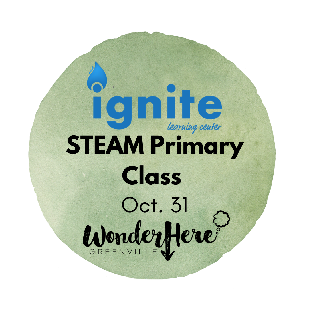 Ignite STEAM Primary Class